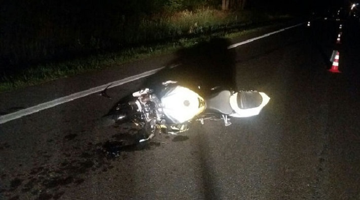 В Пружанском районе мотоциклист столкнулся с лосем и погиб