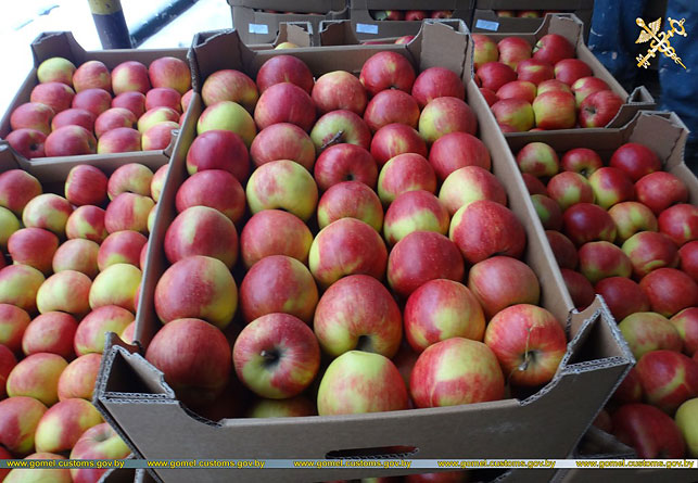 Гомельские таможенники изъяли почти 80 т яблок‍