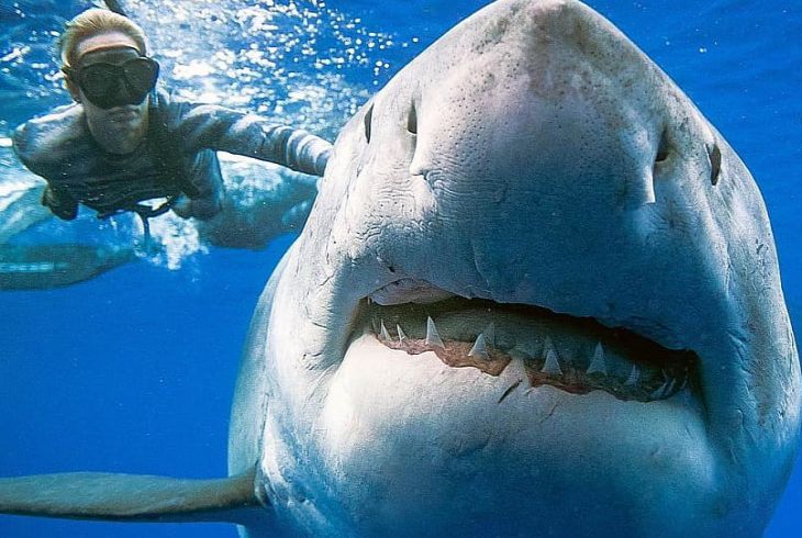 11111 compressed Економічні новини