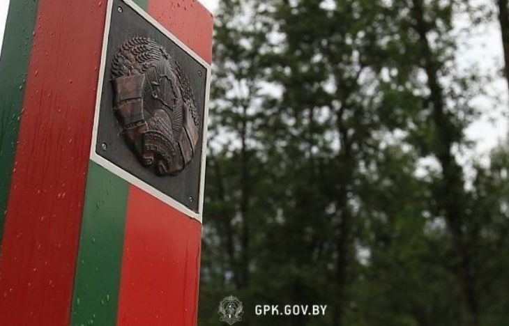 Более полутонны наркотиков выявлено в этом году на границе Беларуси со странами ЕС