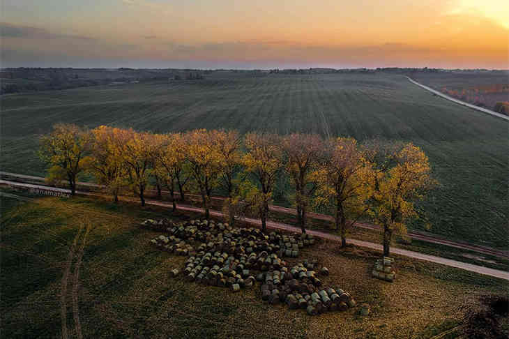 ТОП-5 фото Беларуси в Instagram на 20 ноября 2019 года осень