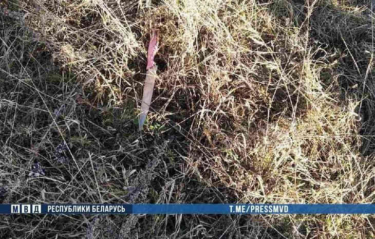 В Шклове мужчина сбежал с «химии» и изрезал жену: милиционеру пришлось стрелять  