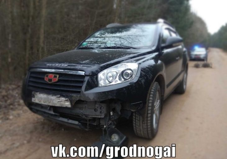 Необычное ДТП около Гродно: дикий кабан бросился под Geely