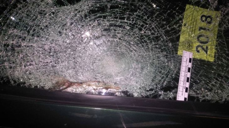 В Глубокском районе бесправник на Opel насмерть сбил женщину и скрылся