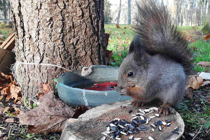 ТОП-5 фото Минска в Instagram на 15 ноября 2019 года белка