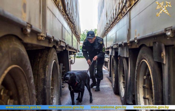 За год собаки помогли белорусским пограничникам найти 64 кг наркотиков