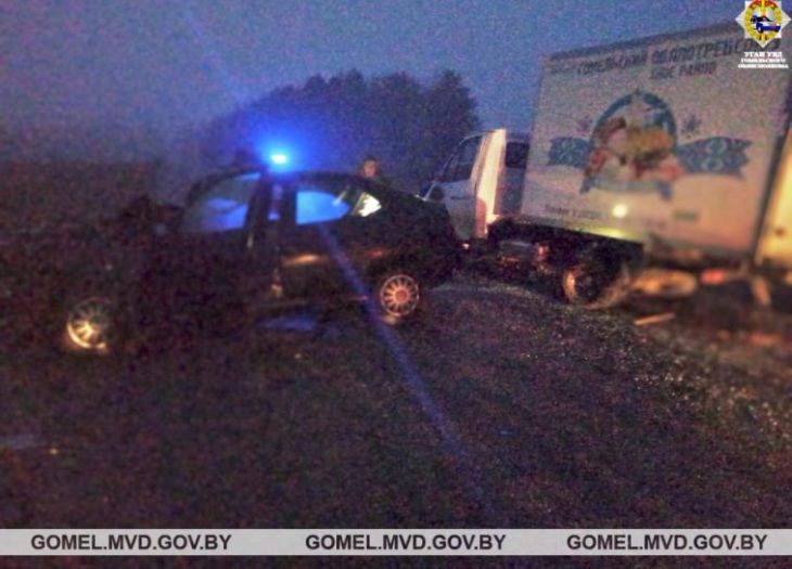 Иномарка всмятку: легковушка при обгоне врезалась в грузовик в Рогачевском районе