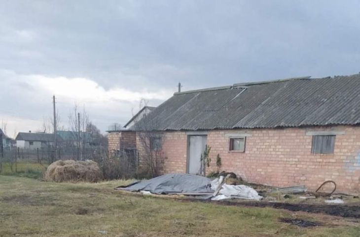 В Стародорожском районе тракторист и рабочий украли более тонны зерна кукурузы В Стародорожском районе тракторист и рабочий украли более тонны зерна кукурузы