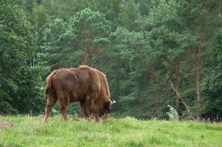 Белорусская достопримечательность попала в топ-25 рекомендаций от National Geographic