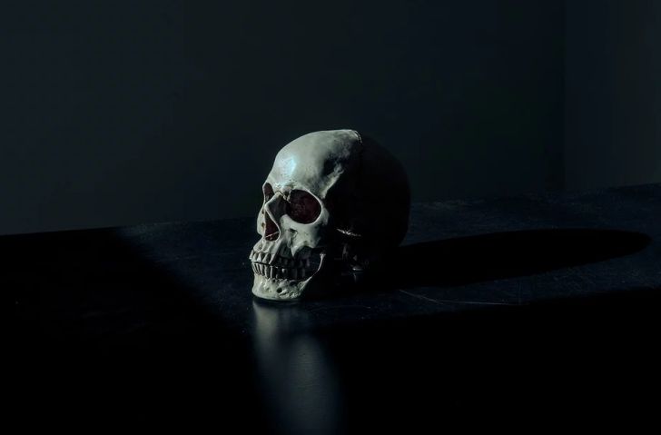 Учёные выяснили, зачем наши предки сверлили друг другу черепа череп на столе