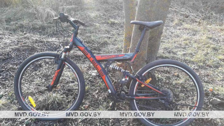 Бдительная соседка помогла раскрыть кражу велосипеда 