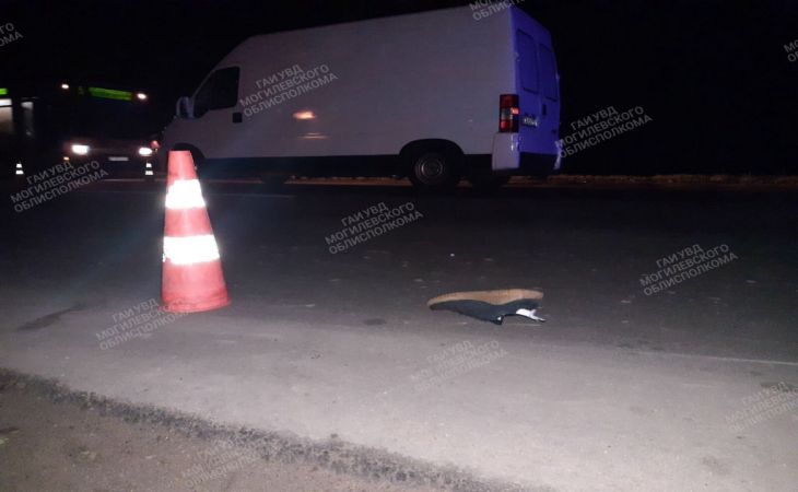 В Бобруйске Fiat тяжело травмировал пешехода. Он в реанимации