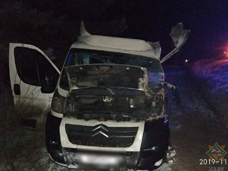 Столкновение микроавтобуса с грузовиком в Петриковском районе: спасен водитель