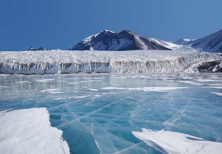 Под льдом Антарктиды откопали такое, что не верится глазам