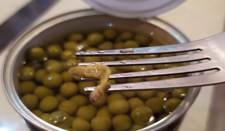 «Странный довесок». В банке с консервированным горошком обнаружена гусеница