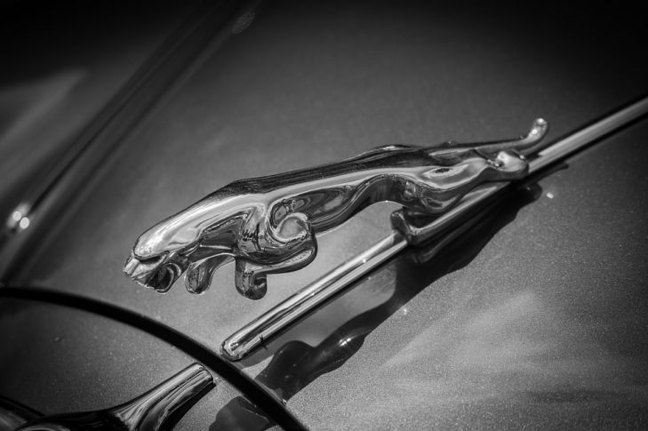 Автомобили Jaguar получат систему контроля усталости водителя эмблема Jaguar