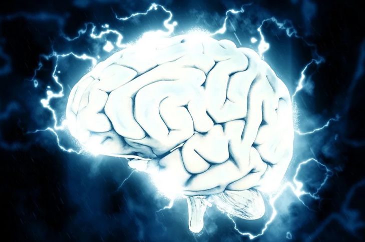 головной мозг