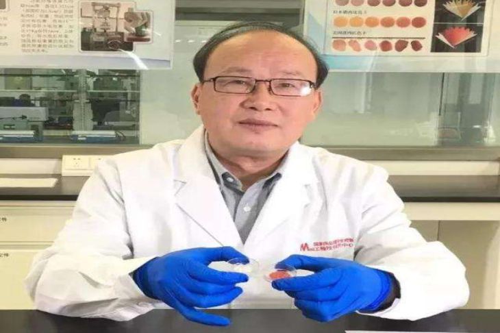 Китайские ученые вырастили урожай искусственного мяса