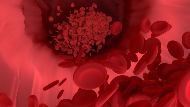 кровеносный сосуд, кровяные клетки