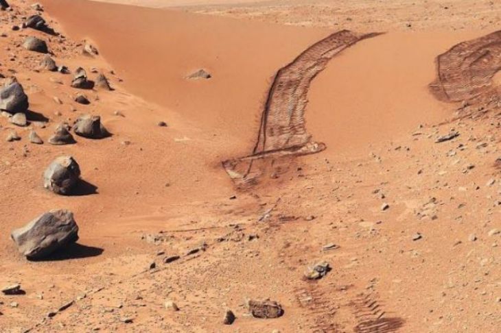 Американский ученый обнаружил на фото с Марса насекомых и змей Американский ученый обнаружил на фото с Марса насекомых и змей