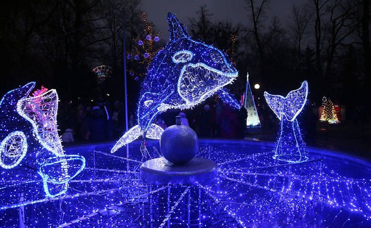 В Гродно зажгли главную новогоднюю елку и праздничную иллюминацию В Гродно зажгли главную новогоднюю елку и праздничную иллюминацию