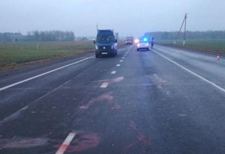 Внимание, розыск! Под Пинском водитель насмерть сбил пешехода и скрылся