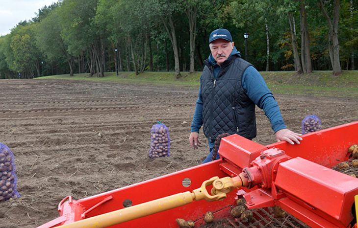 «Теперь не только у Путина и Пугачевой». На переговорах в Сочи Песков получил в подарок от Лукашенко картошку