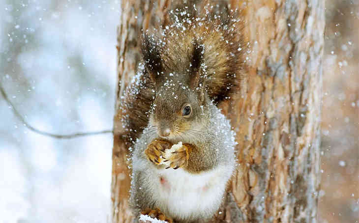 Какой сегодня праздник: 24 декабря 2019 года Какой сегодня праздник: 24 декабря 2019 года