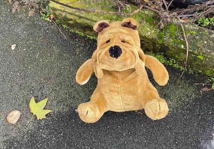 Девушка нашла друга, которого потеряла 18 лет назад. Однако нашелся еще один, и кто-то из них самозванец игрушка