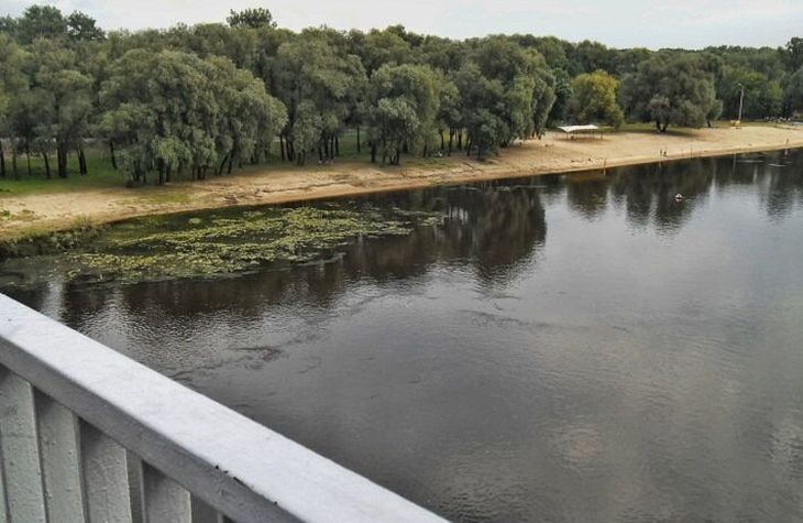 В Гомеле молодая женщина прыгнула с моста в Сож и выжила: ее личность устанавливается В Гомеле молодая женщина прыгнула с моста в Сож и выжила: ее личность устанавливается