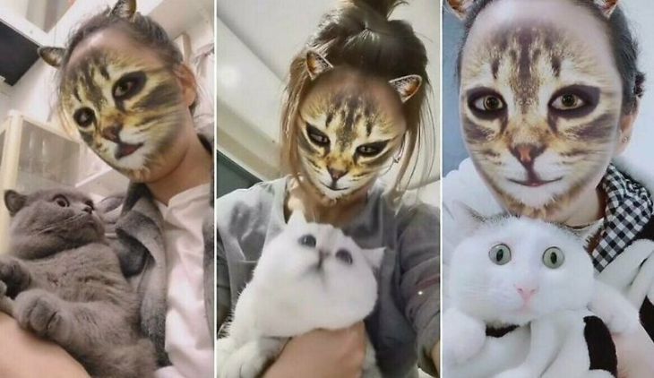 Кошачьи фильтры из соцсетей показали кошкам: их реакция бесценна