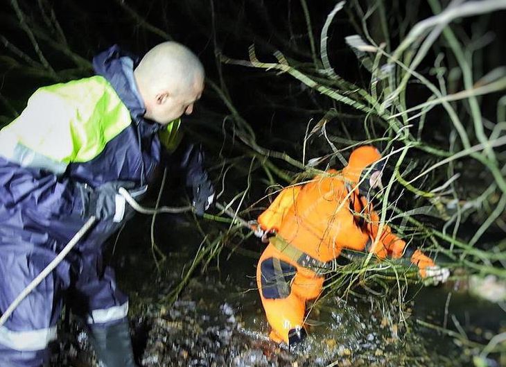 Жительница Полоцка уехала на дачу и пропала: позже ее труп нашли в заброшенном водоеме