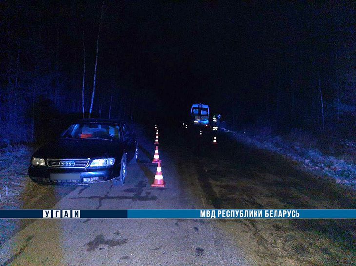 В Жлобинском районе пешехода сбили две иномарки – мужчина погиб