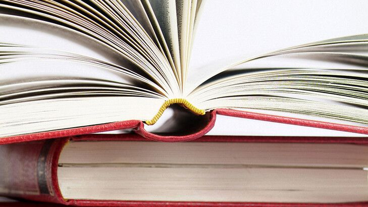 «Относится к потеплению, демократии и оружию»: интернет-словарь объявил слово 2019 года