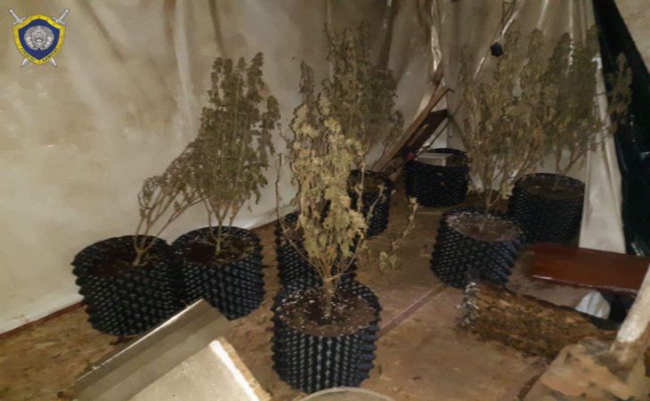 Под Жлобином горел дом, в котором выращивали коноплю. Пожарные вызвали милицию