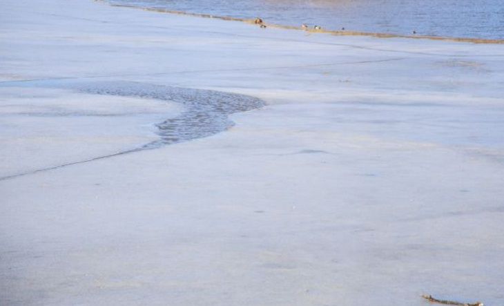 В Витебском районе утонул мужчина