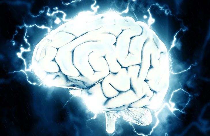 головной мозг