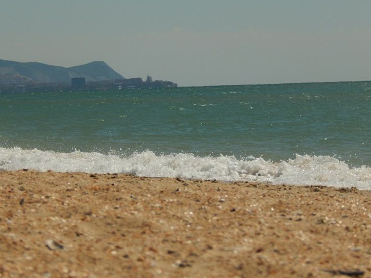 Калифорнийский пляж заполнили странные черви