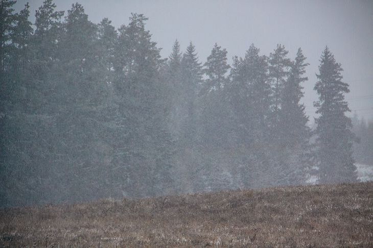 Погода на день 6 декабря 2019 года по Беларуси Погода на день 6 декабря 2019 года по Беларуси