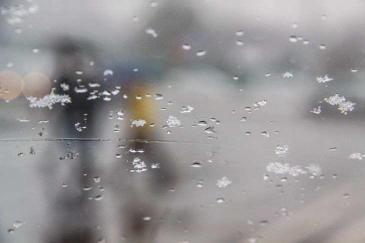 Погода на день 9 декабря по Беларуси Погода на день 9 декабря по Беларуси