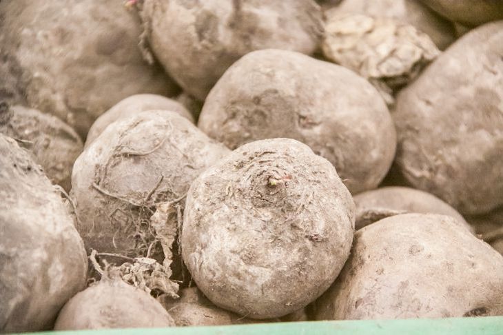 В Беларуси определили объемы закупок сельхозпродукции и сырья для госнужд на 2020 год