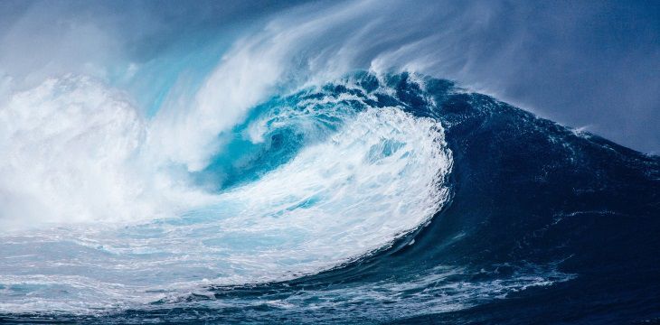 Мертвых опасных зон в океане больше, чем считали ученые 