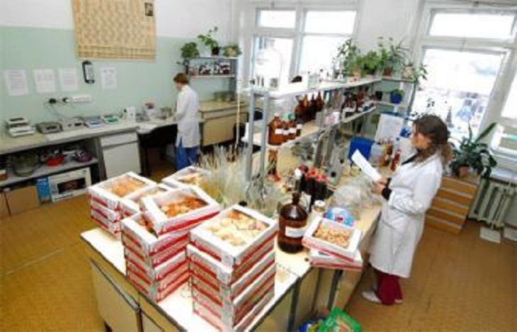Опасные игрушки и продукты с плесенью продавали на Гомельщине лаборатория