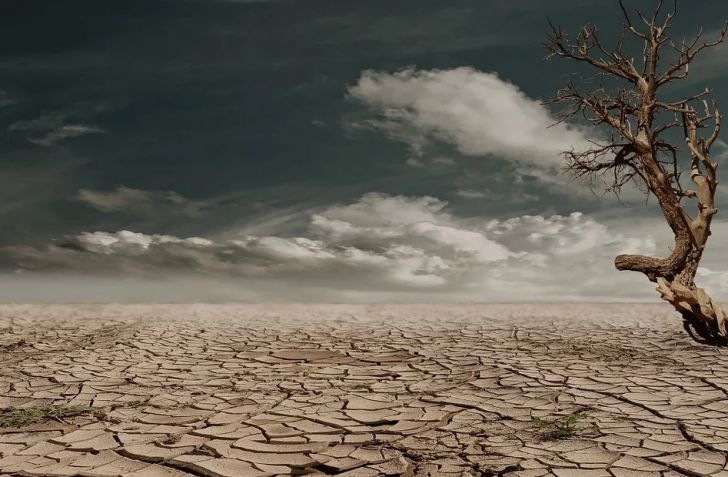 пустыня, засуха, глобальное потепление