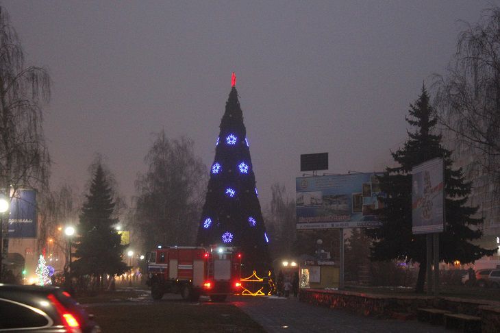 В Гомеле чуть не сгорела третья новогодняя елка елка