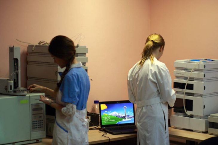 Состав и значение экологических изысканий для строительных проектов экологические изыскания