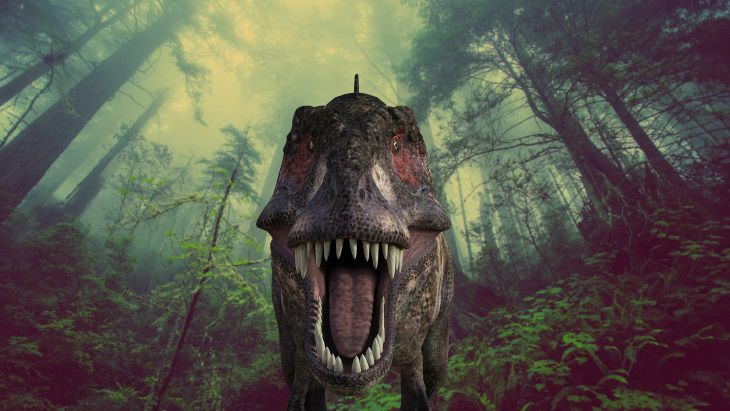 Не динозавры. Ученые нашли останки самых первых наземных животных