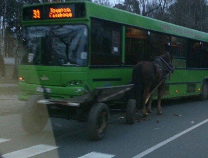 В Гомеле произошло ДТП с лошадью и автобусом