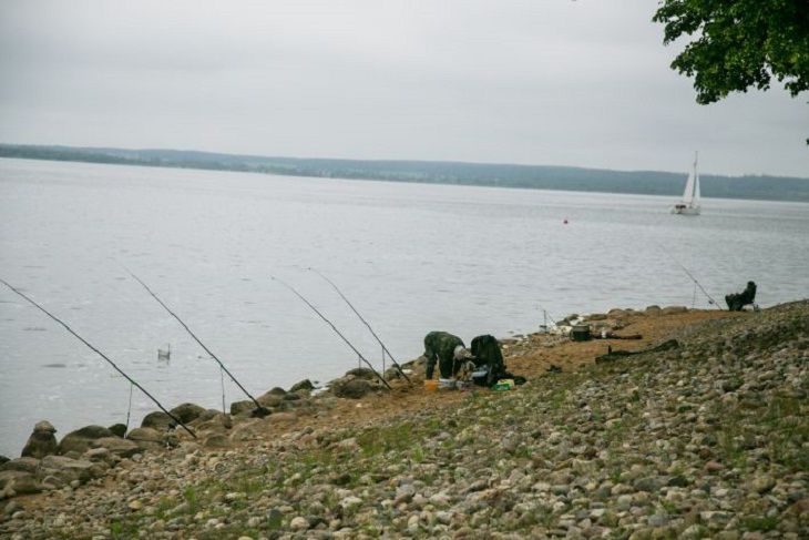 Загадочная смерть. В Гомеле нашли тело рыбака река
