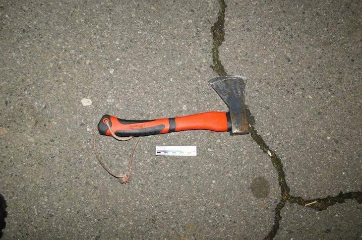 Напал с топором. В Гомеле пьяный «Дон Кихот» дрался с электрощитком топор